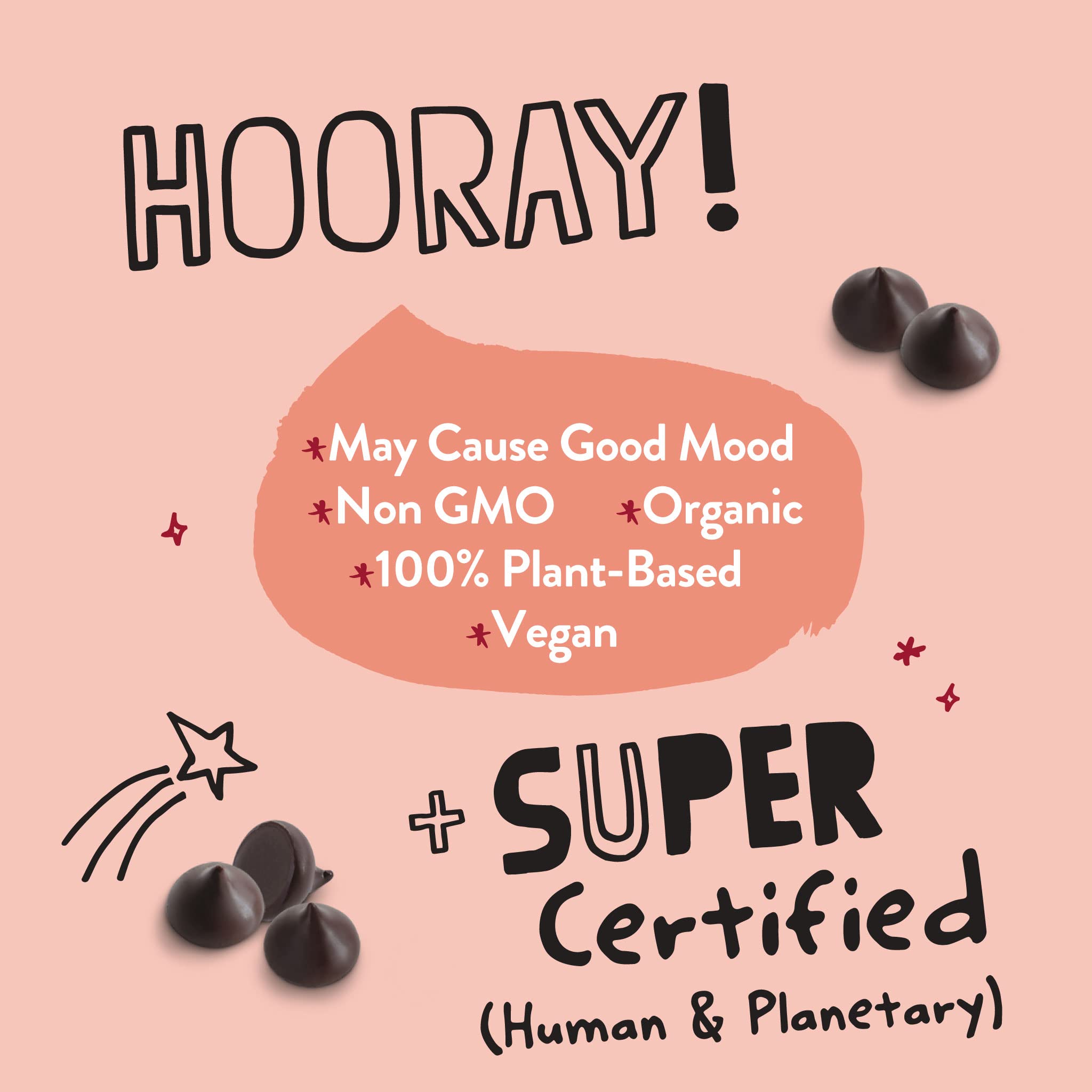 Pascha Organic Mini Unsweetened Dark Chocolate Baking Chips 100% Cacao - UTZ Certified, Gluten Free, Non GMO, No Added Sugar, Bulk Pack - Perfect for Baking Cookies, Muffins & Healthy Desserts