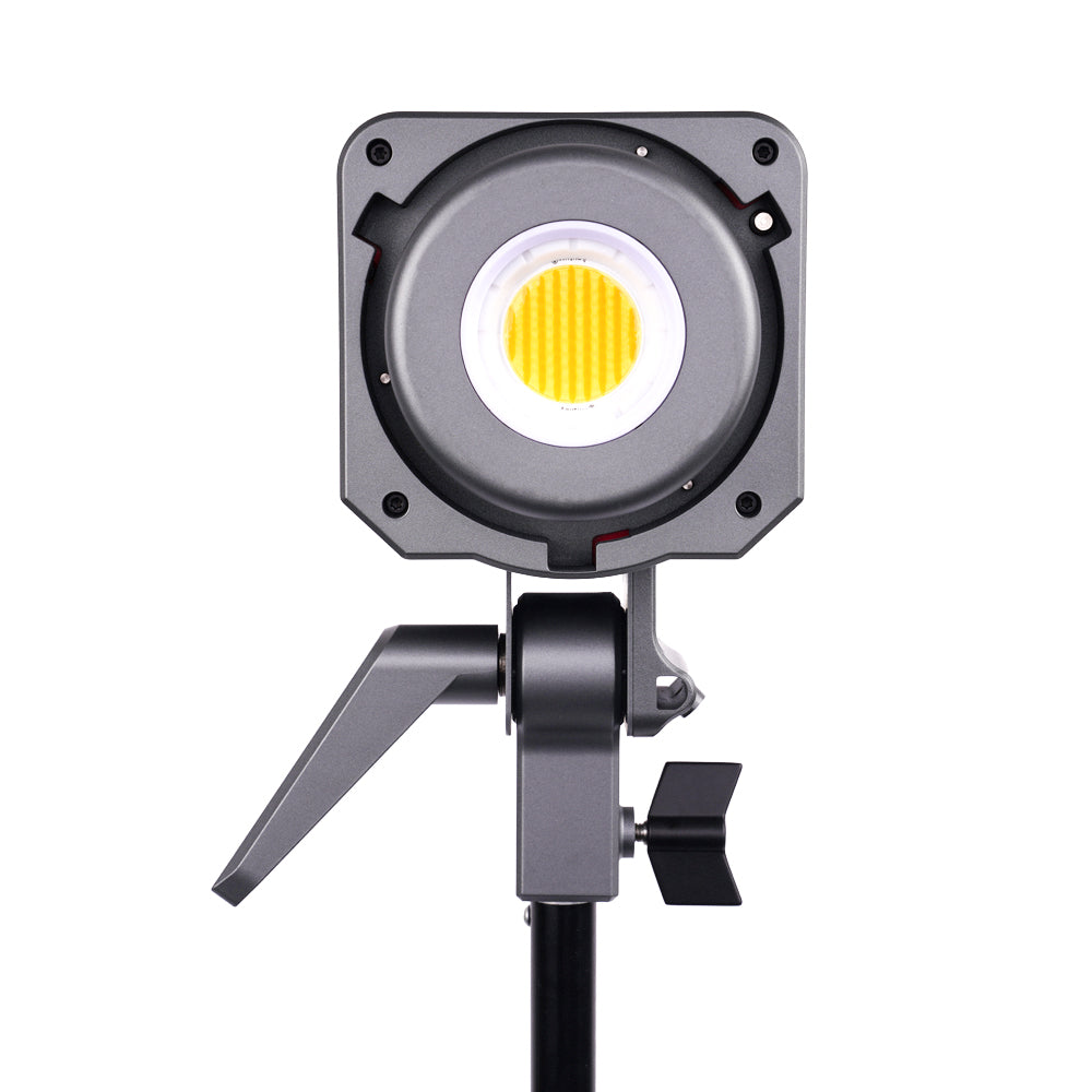 Amaran 200x Bi-Color LED Video Light - 5600K & 3200K Adjustable, High CRI 95+ for Photography, Filmmaking & Studio Lighting