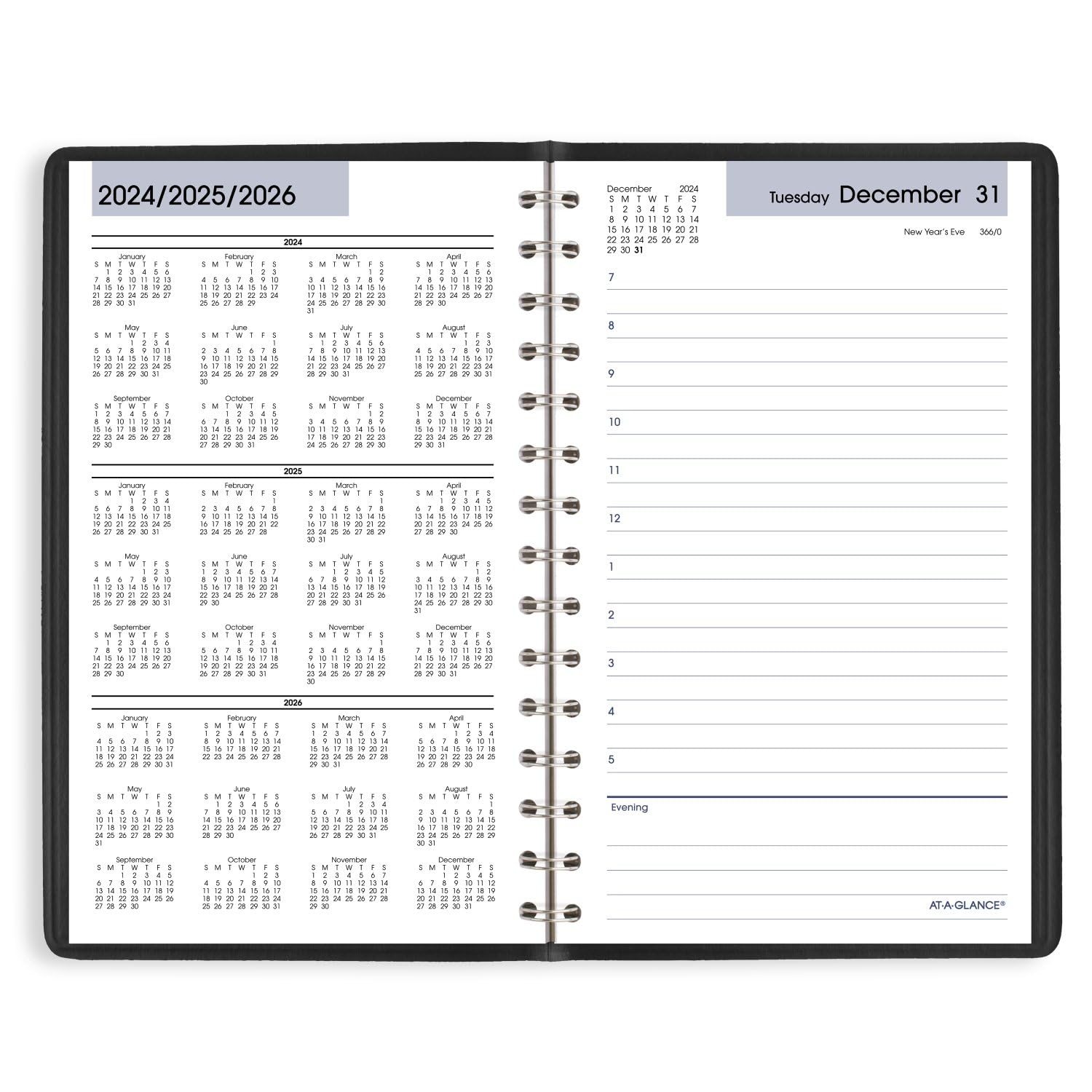 AT-A-GLANCE 2025 Daily Appointment Book Planner - 5