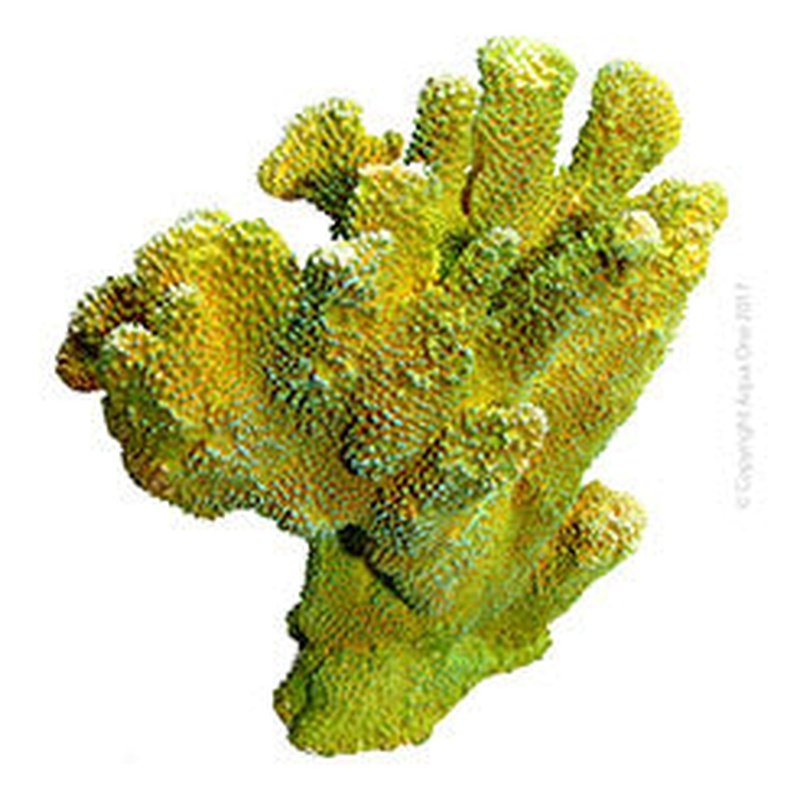 Aqua One Copi Coral Isopora - 10.6