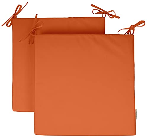 Coral Orange