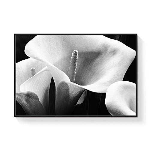 Black02-h07