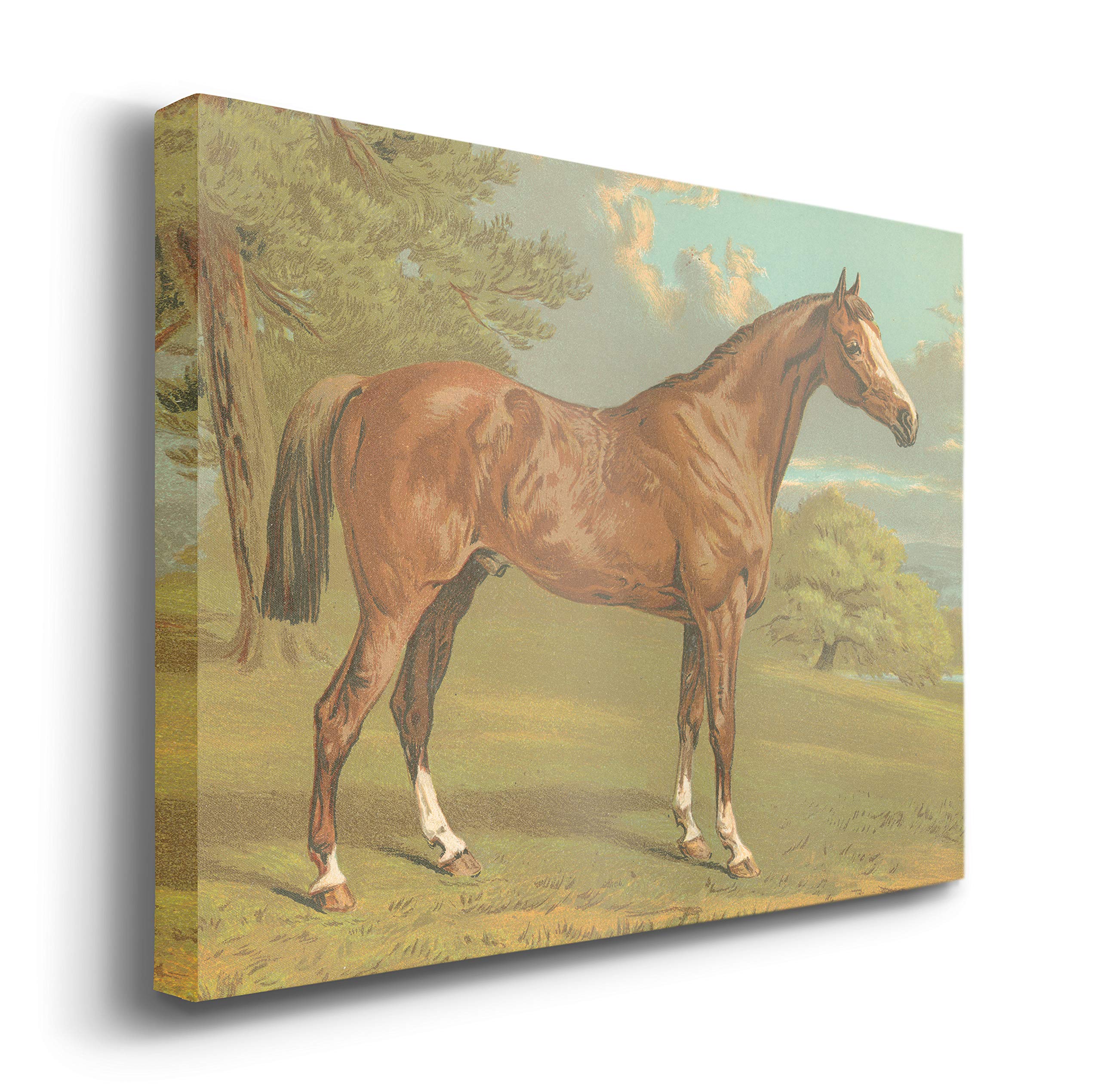 Premium Gallery Wrapped Canvas Wall Art - Handsome Brown Horse in Green Grass & Blue Sky | 32x48 Inches | Ready to Hang | Made in USA | Perfect for Living Room, Bedroom & Office Decor