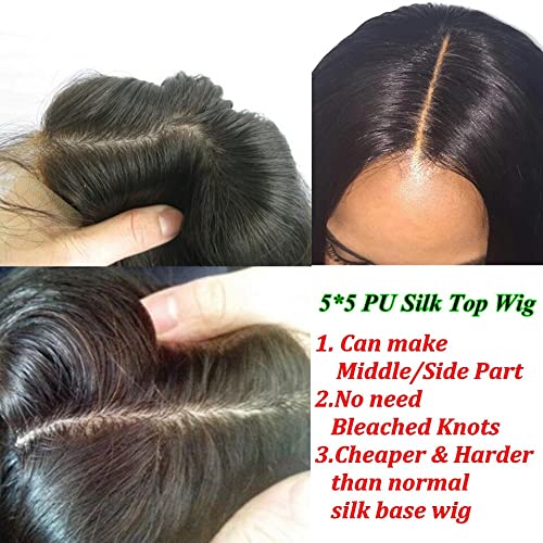 5x5 Silk Base Ombre Human Hair Wig 20