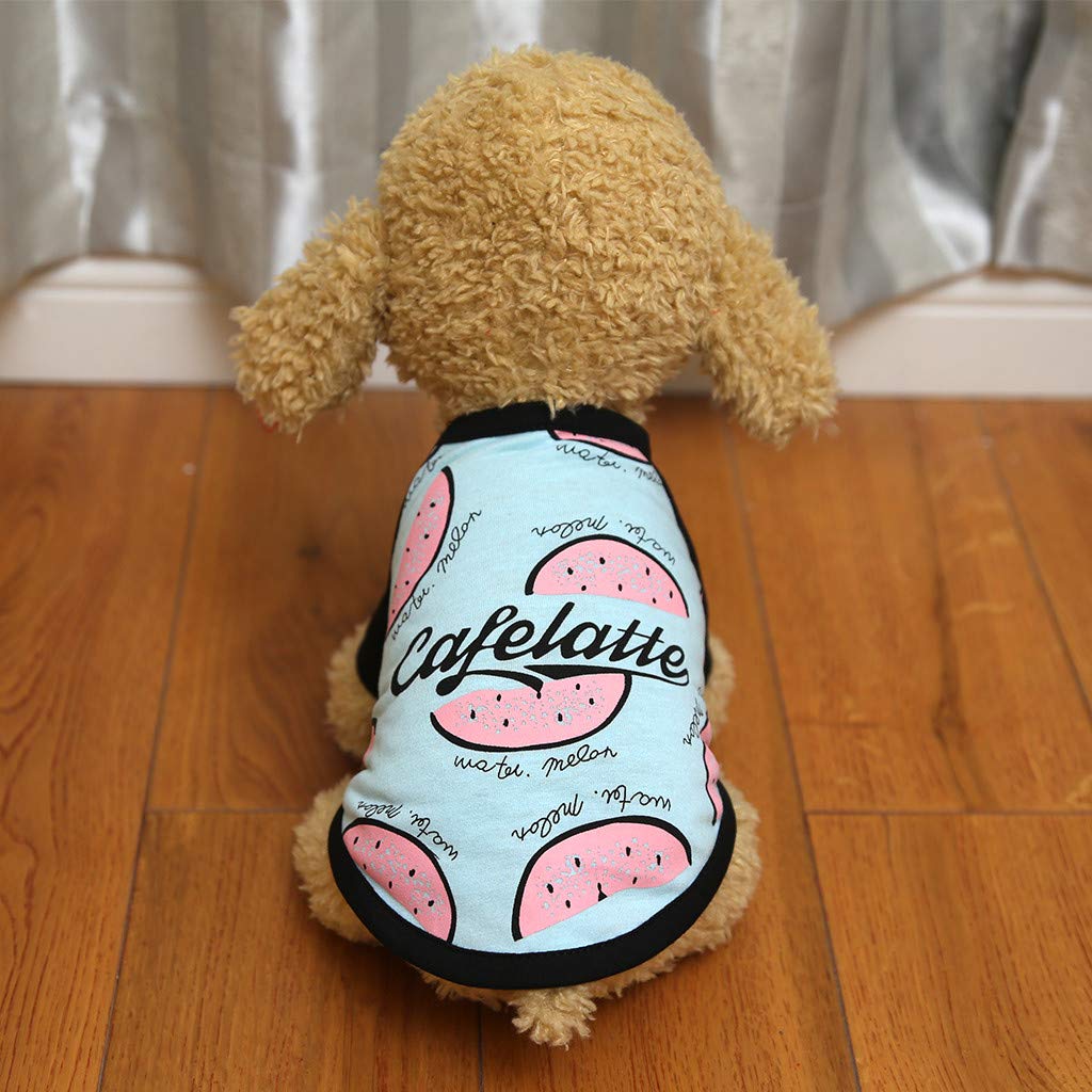 Pet Dog Shirt - Polar Puppy Coat & Cat Clothes Sweatshirt - Cute Animal Apparel for Small Medium Large Dogs & Cats - Perfect for Winter Walks, Photo Shoots & Indoor Comfort