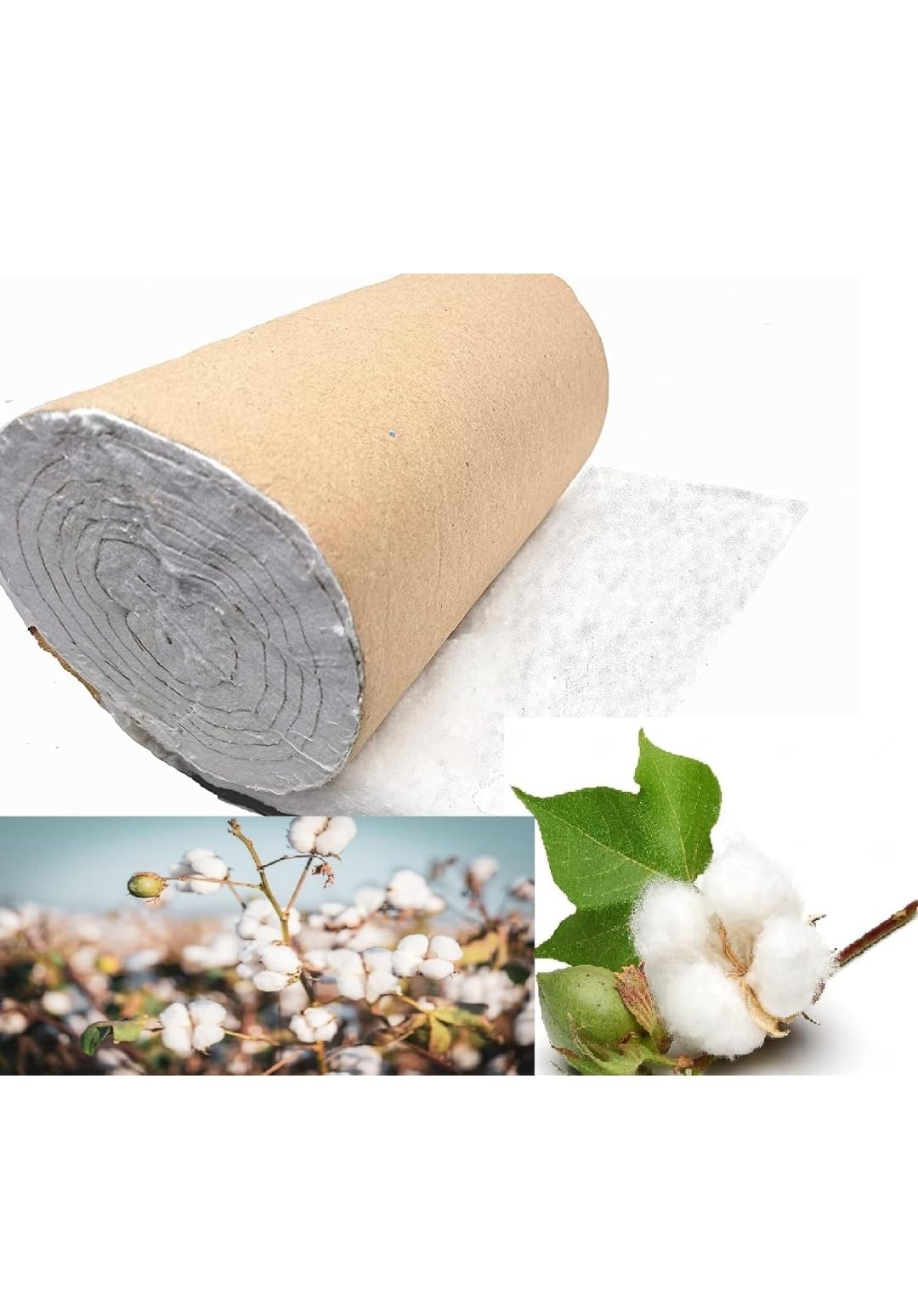 Padmavati Pharma 100% Pure Cotton Roll 450mg - Soft & Absorbent Makeup Remover, Facial Cleansing & Home Care | Ideal for Skincare Routine, Baby Care & First Aid