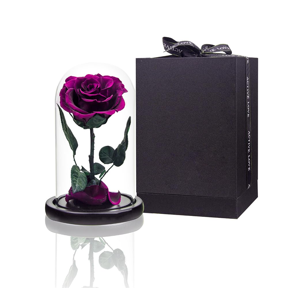 Preserved Purple Roses in Glass Dome - Long Lasting Real Roses That Never Wither | Romantic Gift for Her, Mother's Day, Birthday Present for Women | Perfect for Home Decor, Wedding Centerpieces & Anniversary Gifts