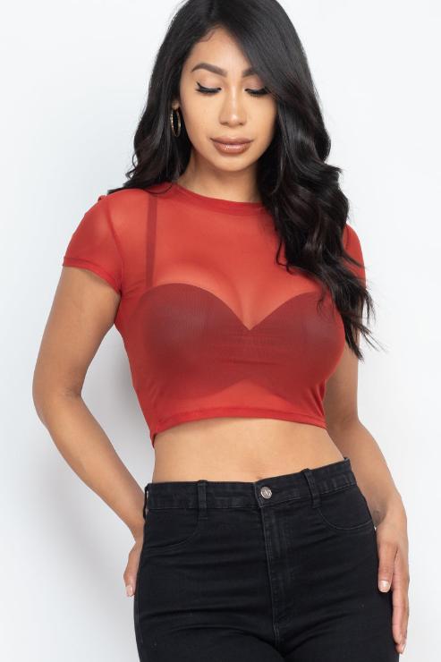 Sexy Mesh Sheer Short Sleeve Crop Top for Women - Breathable Summer Fashion Top for Clubbing, Beach & Night Out