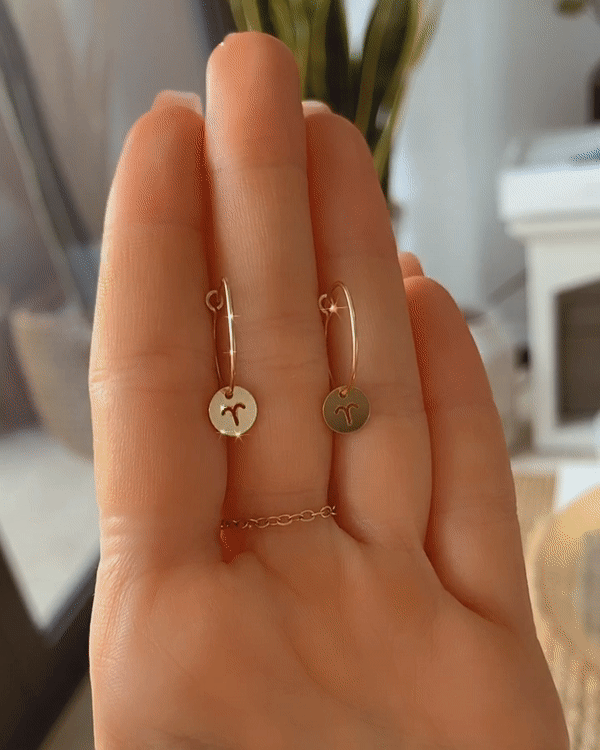 Stylish Zodiac Hoop Earrings - Gold & Silver Constellation Jewelry for Women - Perfect for Daily Wear, Gifts & Special Occasions