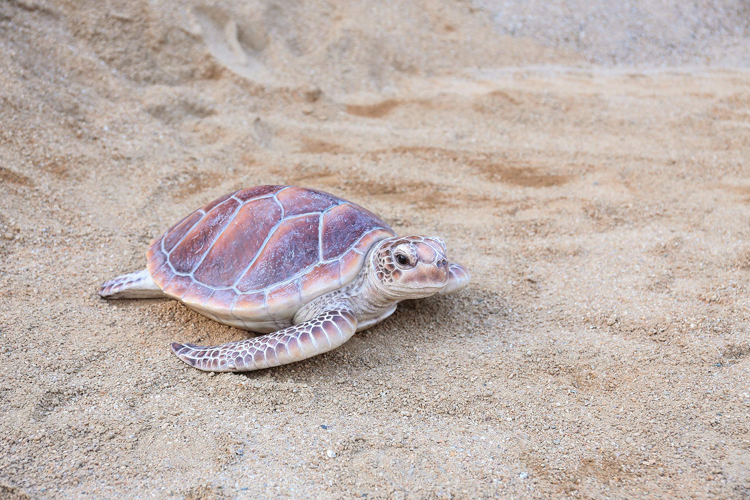 Hi-Line Gift 87683-A Large Sea Turtle Statue - Handcrafted Resin Ocean Decor for Beach House, Coastal Living Room & Outdoor Garden Decorations