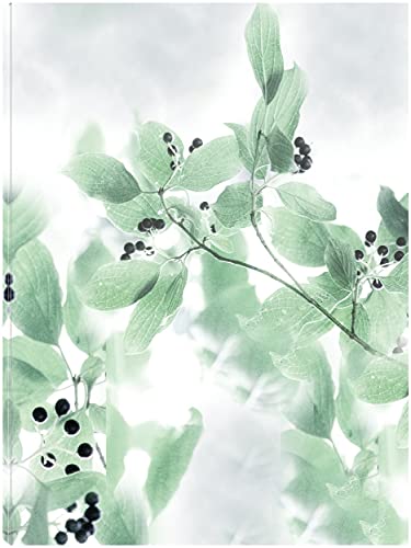Berry Bright II