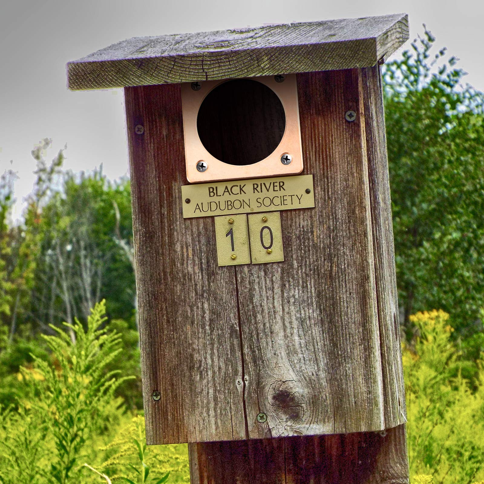 Copper Metal Portal Bird House Guard - 1.5 Inch Opening for Eastern Bluebird Houses - Durable Weatherproof Entry Protector for Bird Nesting Boxes (Perfect for Backyard Birdwatching & Garden Decor)