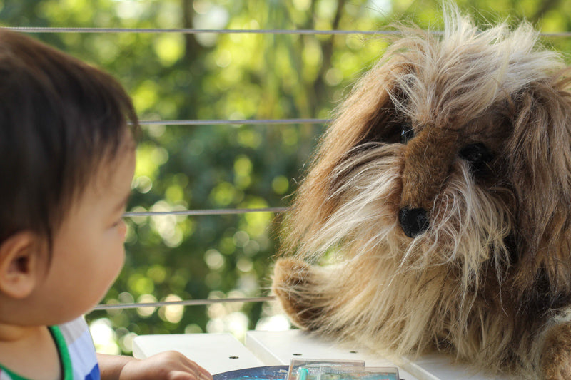 Folkmanis Shaggy Dog Hand Puppet - Realistic Plush Puppet for Kids, Storytelling, and Interactive Play - Perfect for Imaginative Play, Classroom Activities, and Family Bonding