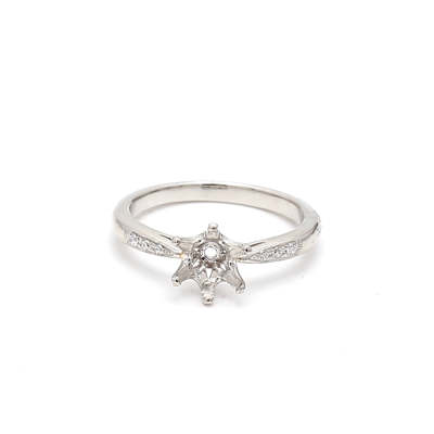 A Sparkling Promise: The Story of Love and the Perfect Ring
