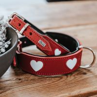 Alpen LOVE Dog Collars for Small & Medium Breeds - Adjustable, Durable & Stylish Pet Collar for Daily Walks & Outdoor Adventures