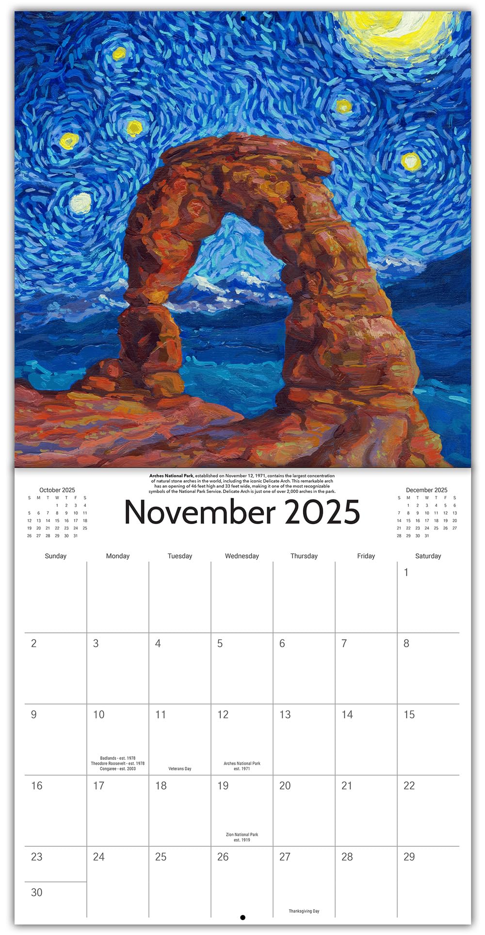 Starry Night National Park Wall Calendar 2025 - 12
