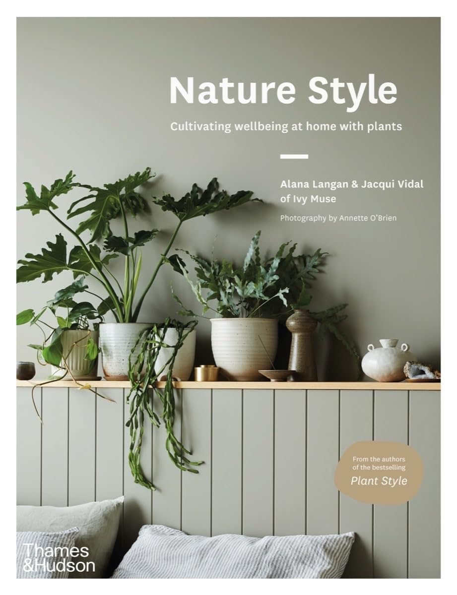 Nature Style Indoor Plants for Home Wellness - Enhance Air Quality & Relaxation for Living Room, Bedroom & Office Decor