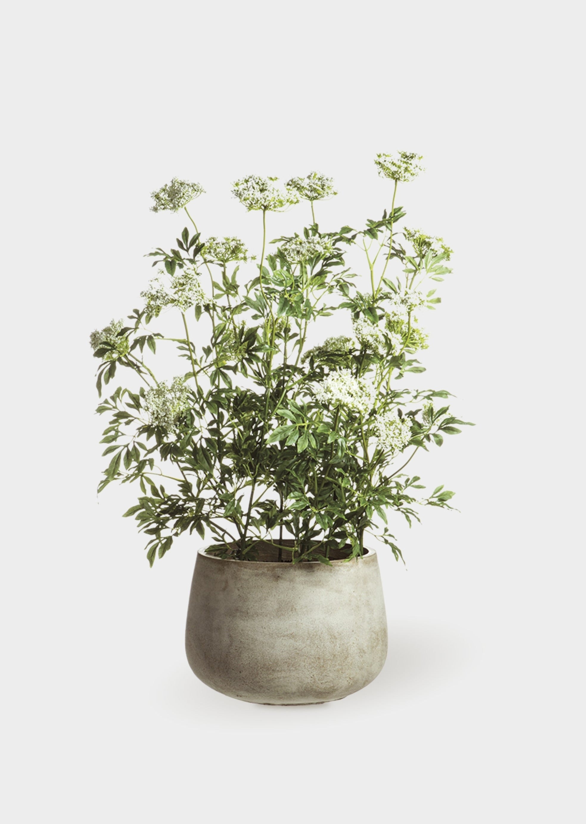 Artificial Queen Anne's Lace Potted Plant Arrangement - 46