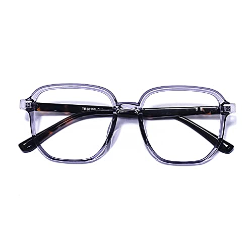 Light Violet Grey/Tortoise