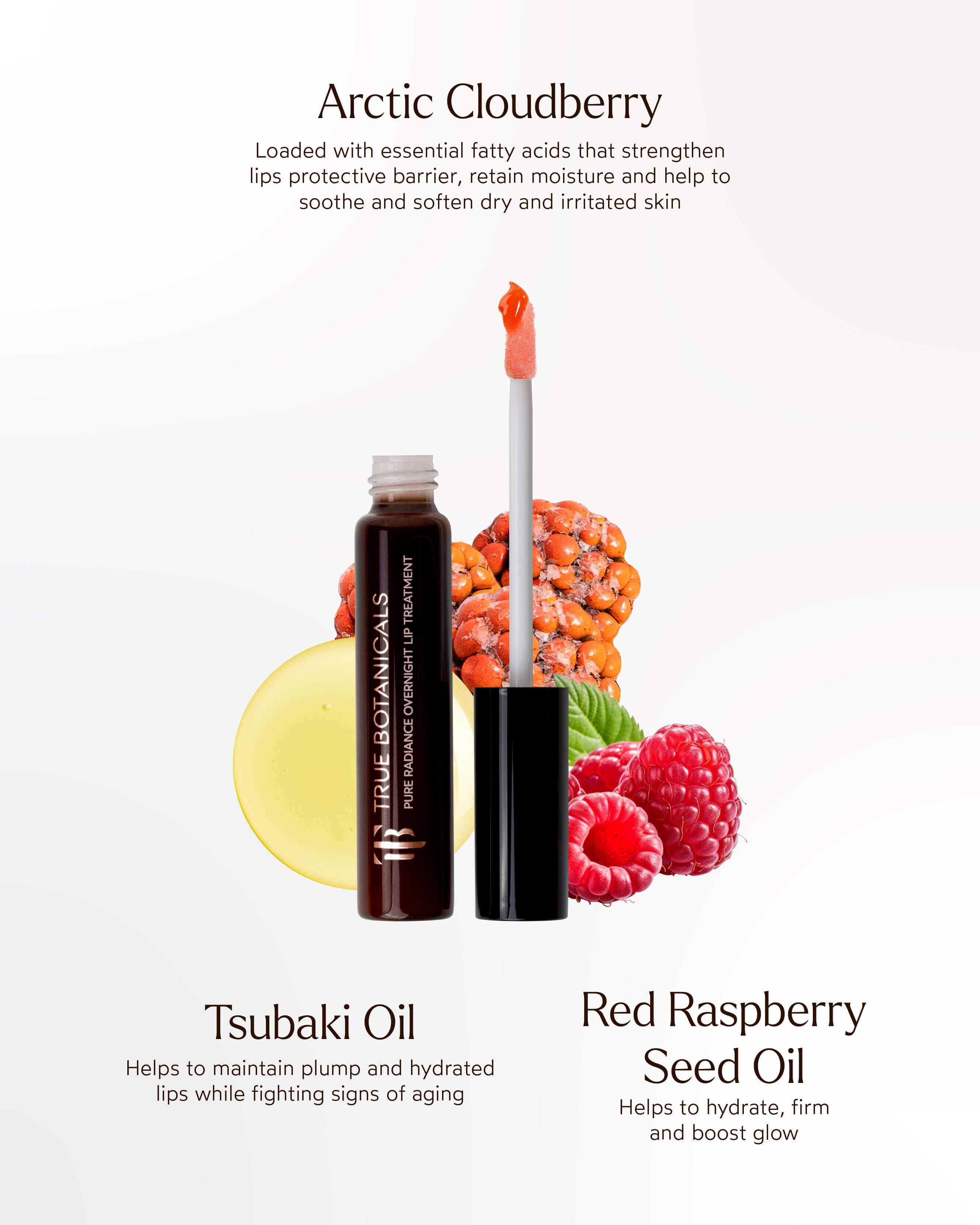 Pure Radiance Overnight Lip Treatment - Hydrating Lip Mask for Dry, Chapped Lips | Best for Nighttime Lip Care & Moisturizing | Perfect for Winter Skincare & Beauty Routine
