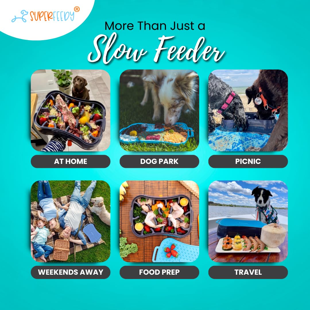 Slow Feeder Dog Bowls & Lick Mat - 4-in-1 BPA-Free Silicone Puzzle Feeder for Fast Eaters - Non-Slip Pet Food Bowl for Small, Medium & Large Dogs - Perfect for Mealtime Enrichment & Anxiety Relief