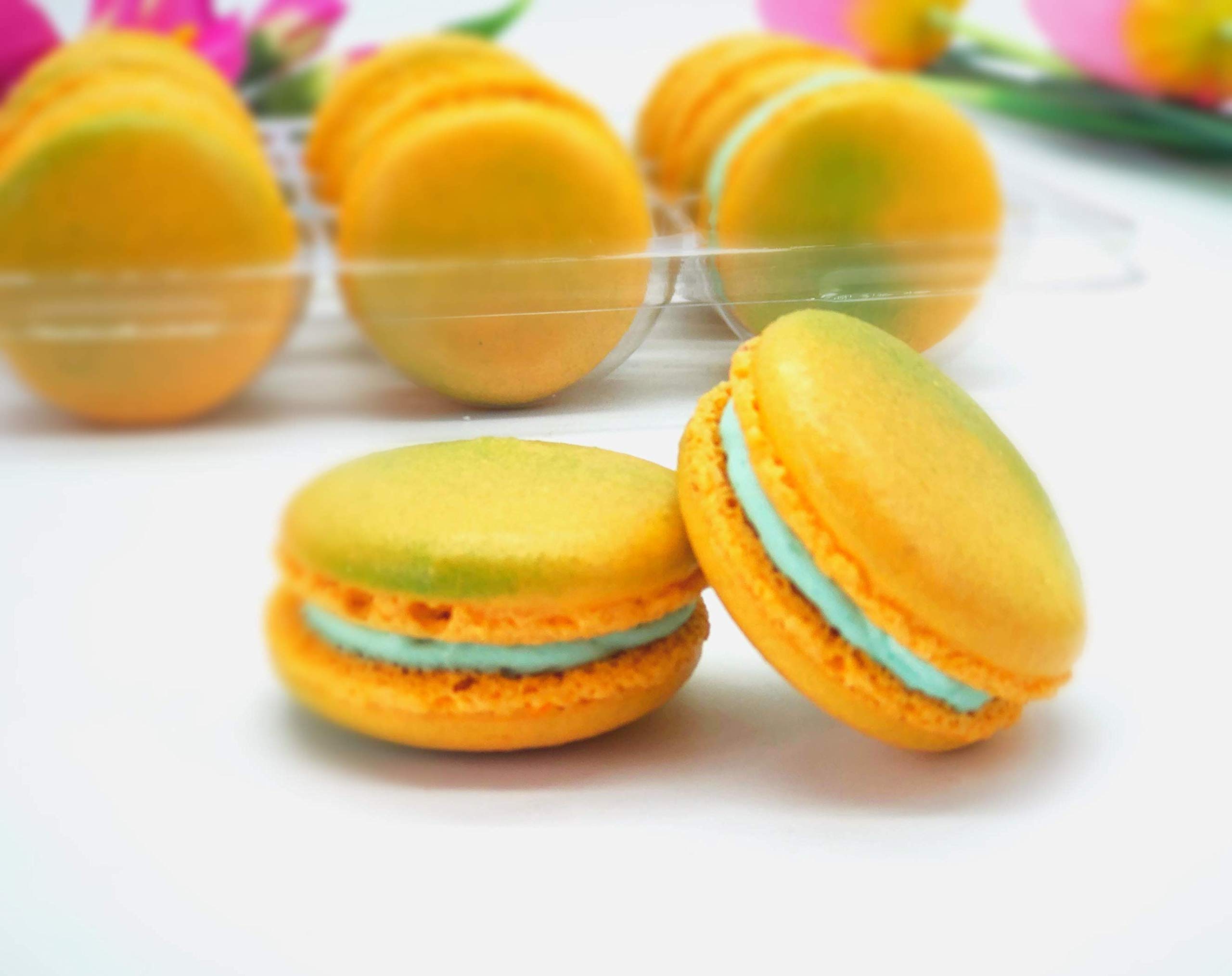 12 Pack Gluten Free French Macarons | Tropical Flavor Assortment | Perfect for Parties, Gifts & Dessert Tables