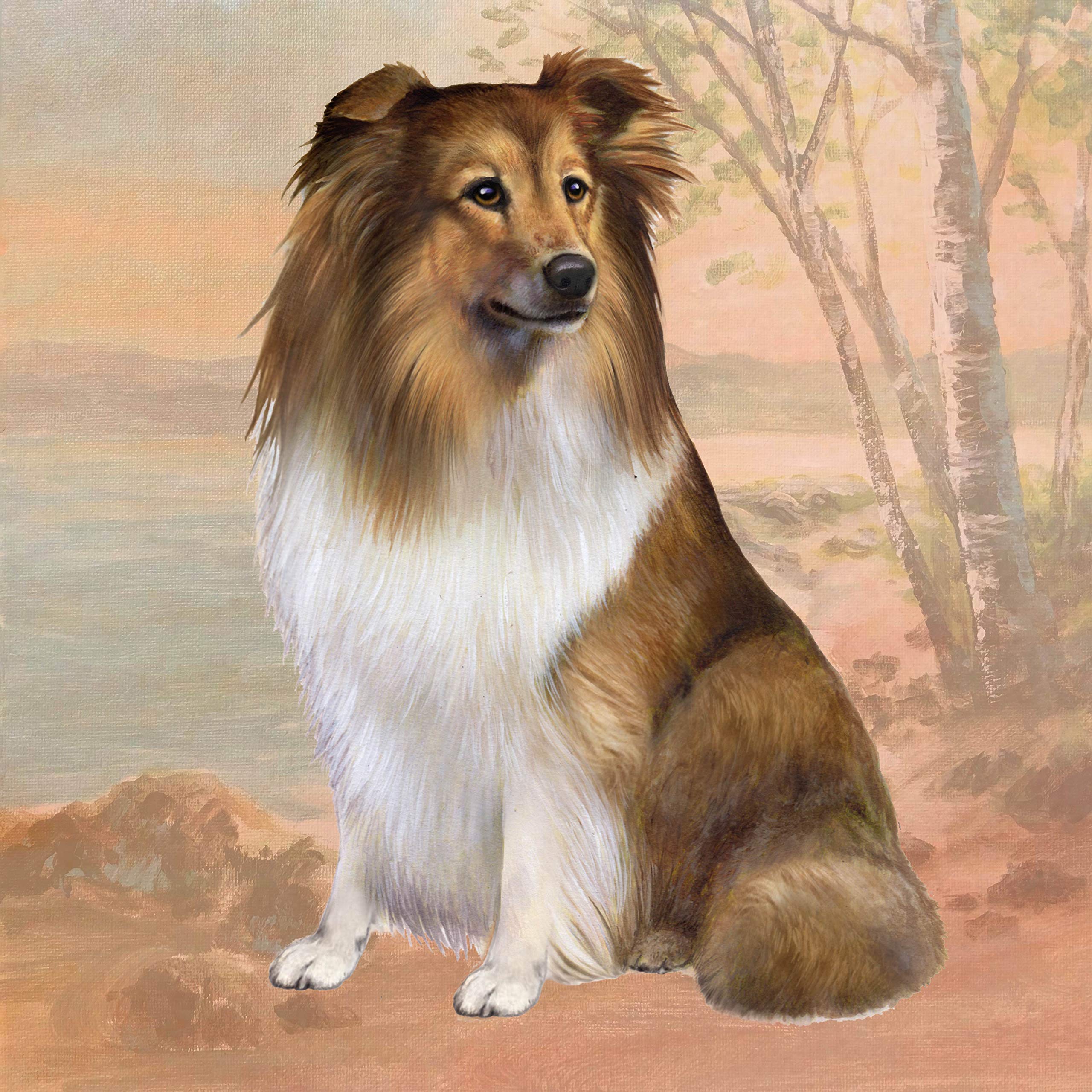 Shetland Sheepdog Absorbent Stone Coaster Set with Cork Back - Protects Furniture from Scratches & Water Rings - Perfect for Coffee Tables, Desks, and Home Decor