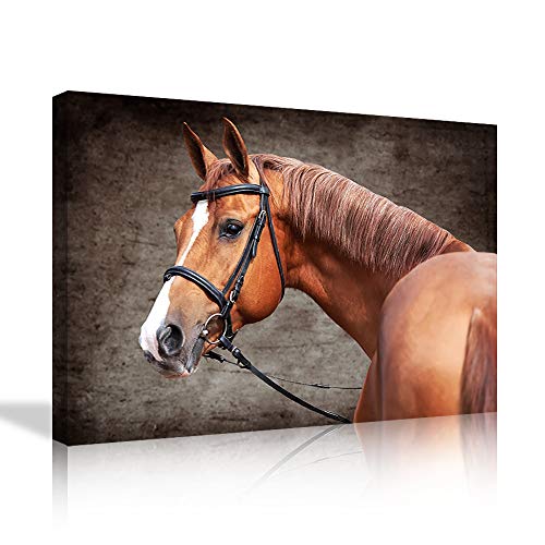 Animal wall art 19