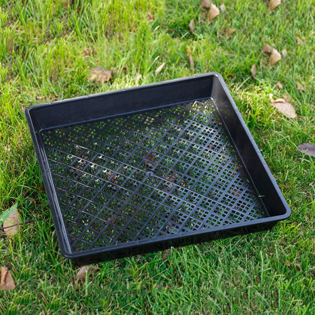 4-Piece Seed Sprouter Tray Kit - BPA-Free Microgreens Growing Trays for Indoor Gardening, Hydroponics, and Organic Sprouts | Perfect for Home, Kitchen, and DIY Herb Garden