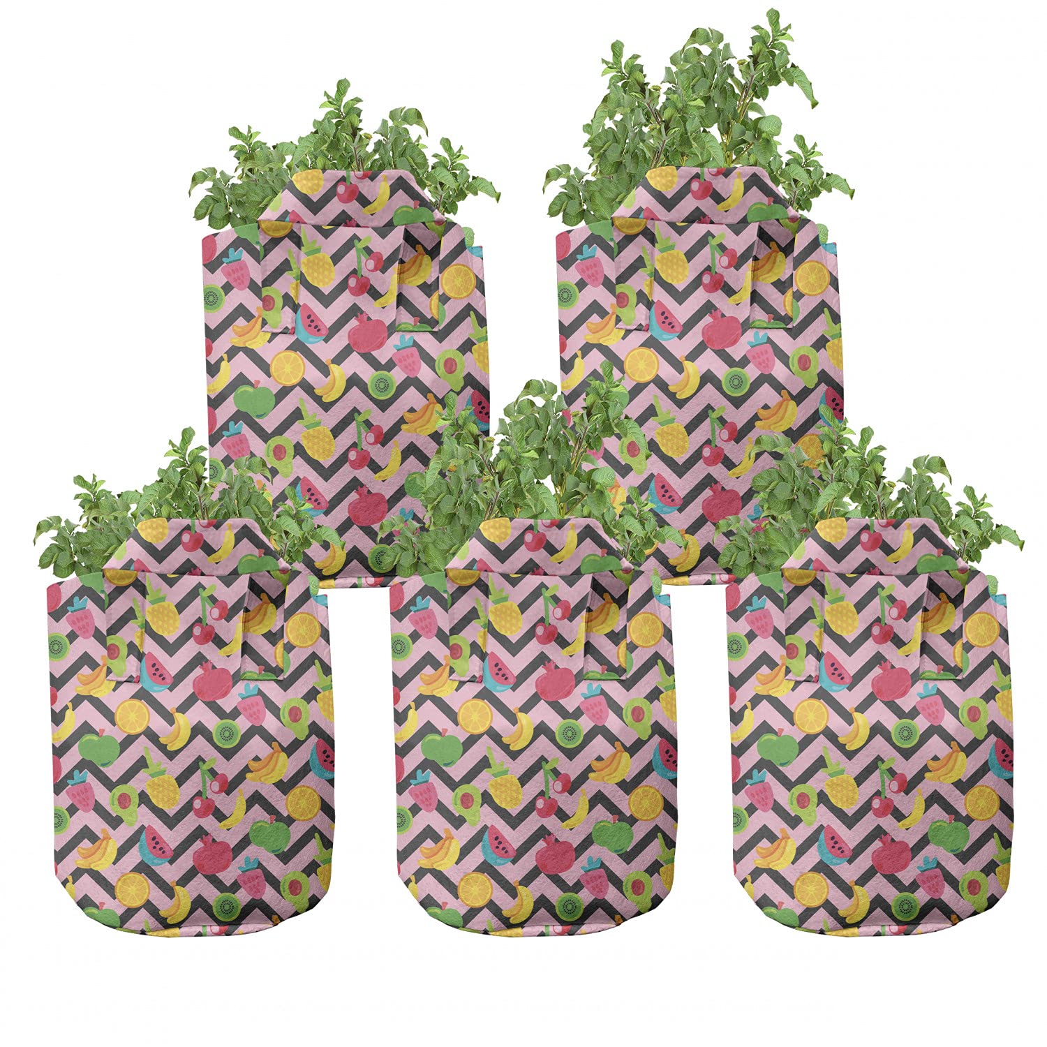 Ambesonne 5-Pack Heavy Duty Fabric Grow Bags with Handles for Banana, Watermelon & Fruit Plants - Durable Multicolor Plant Pots for Indoor/Outdoor Gardening, Balcony & Patio Decor