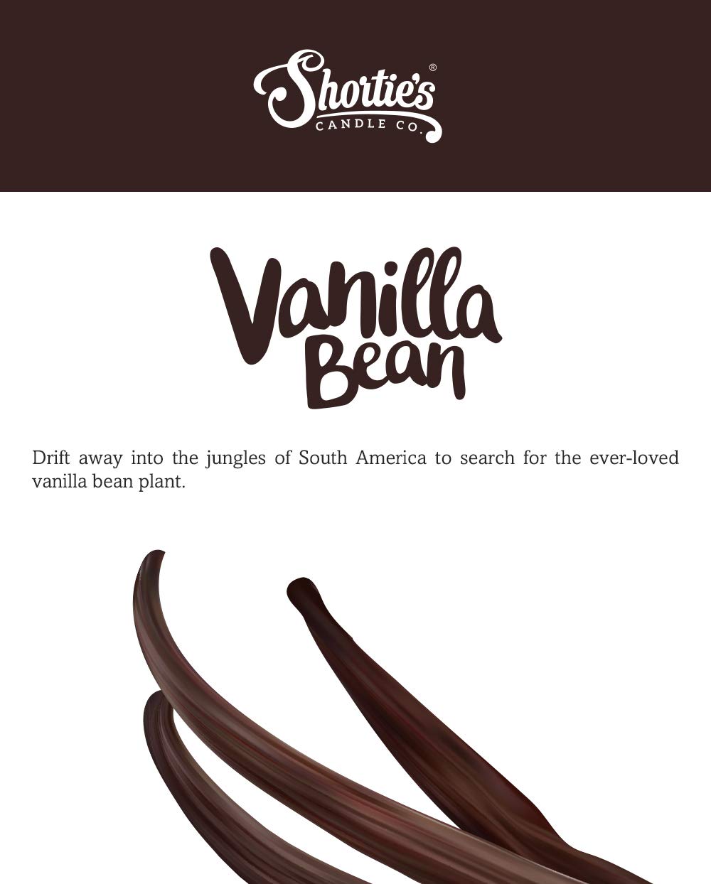 Vanilla Bean Soy Votive Candles - Natural Fragrance Scented, 6-Pack Beige Votive Candle Refills - Bakery & Food Scent Collection - Perfect for Home Decor, Spa Relaxation & Romantic Ambiance