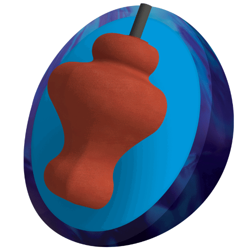 Columbia 300 Kaboom Pearl Bowling Ball - High Performance Reactive Resin for Hook Potential | Perfect for League Play & Tournament Competition