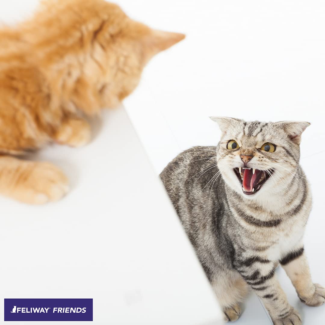 Feliway Friends 30 Day Starter Kit - Plug-In Cat Anxiety Relief Pheromone Diffuser with 48ml Refill | Reduce Multi-Cat Household Conflict | Calming Solution for Stressed Cats at Home, Vet Visits & Travel