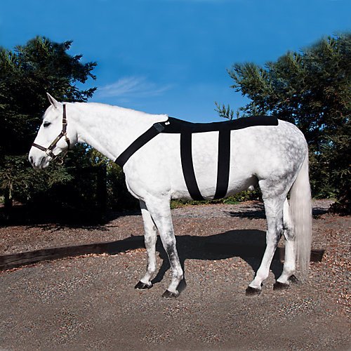 Ice Horse Back Blanket with Ice Pack Inserts for Equine Therapy & Pain Relief - Cooling Gel Pad for Horse Muscle Recovery, Post-Workout Care & Injury Rehabilitation