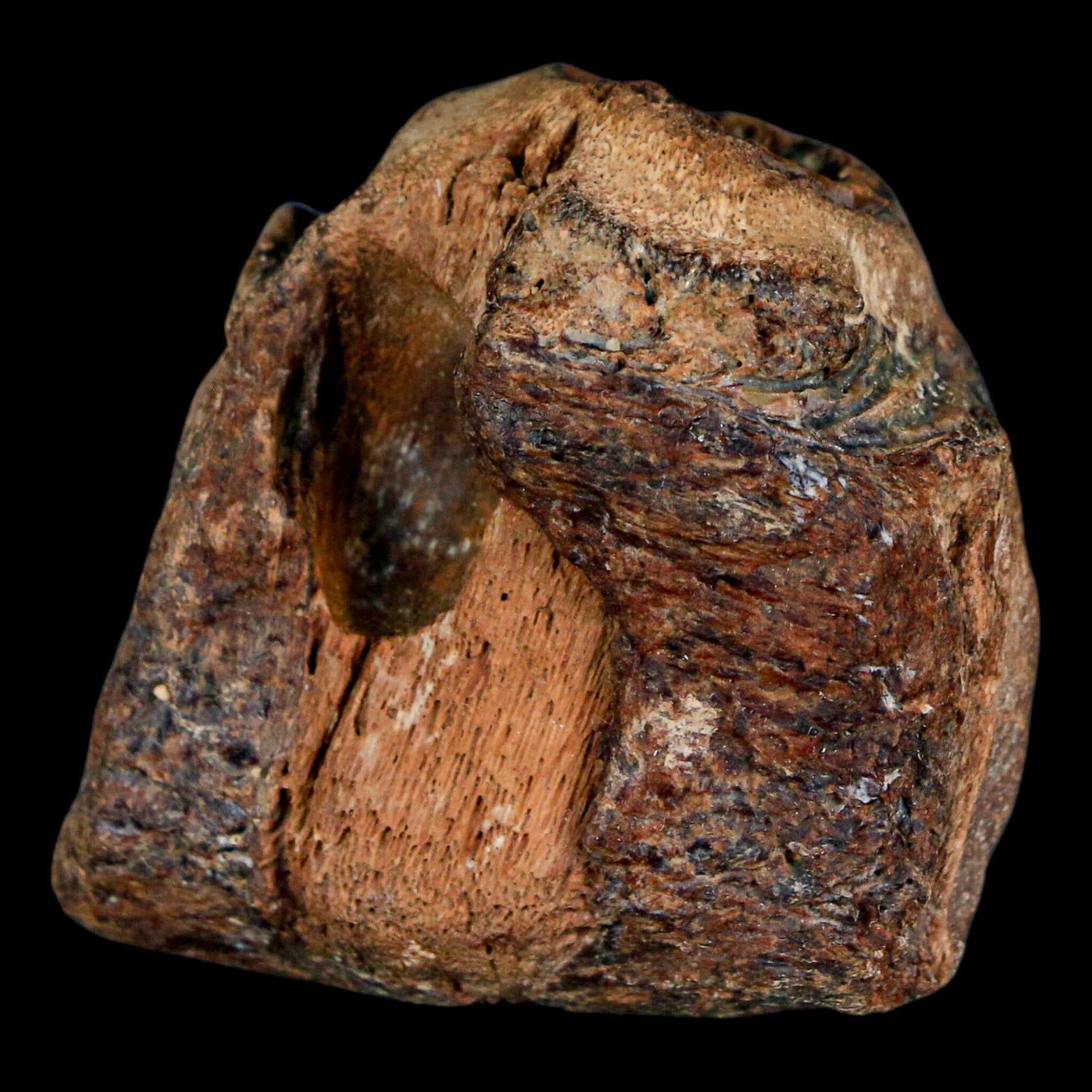 1.5