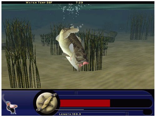 Championship Bass Fishing Game for PC - Realistic Simulation & Multiplayer Action - Perfect for Home Entertainment & Competitive Gaming