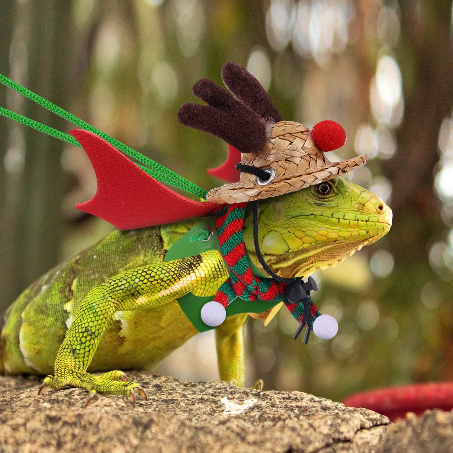 Bearded Dragon Christmas Costume Set - Santa Hat, Scarf & Leash for Reptile Holiday Cosplay (Green & Red) - Perfect for Festive Pet Photos