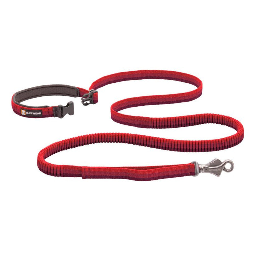 Roamer Dog Leash - Durable Reflective Nylon Pet Leash for Small Medium Large Dogs - Perfect for Walking, Running, Hiking & Outdoor Adventures