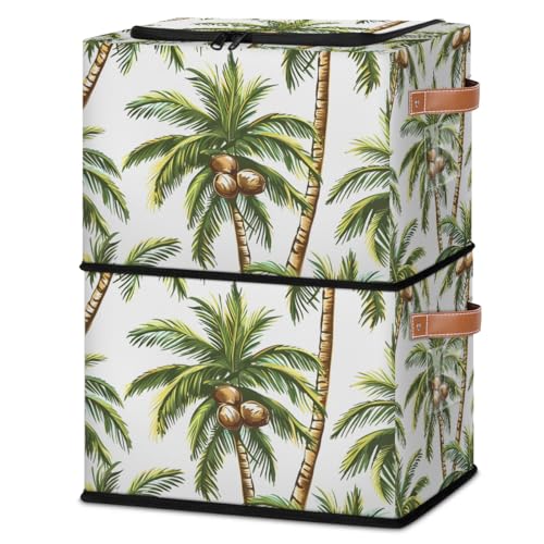 Coconut Tree