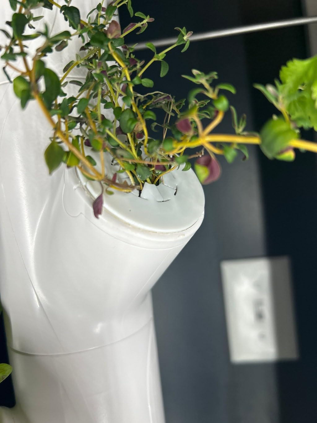 10 Pack 3D Printed Gardyn Pod Covers with 12.5mm Hole & Slit - Compatible with Gardyn Hydroponic System - Perfect for Indoor Gardening & Plant Protection