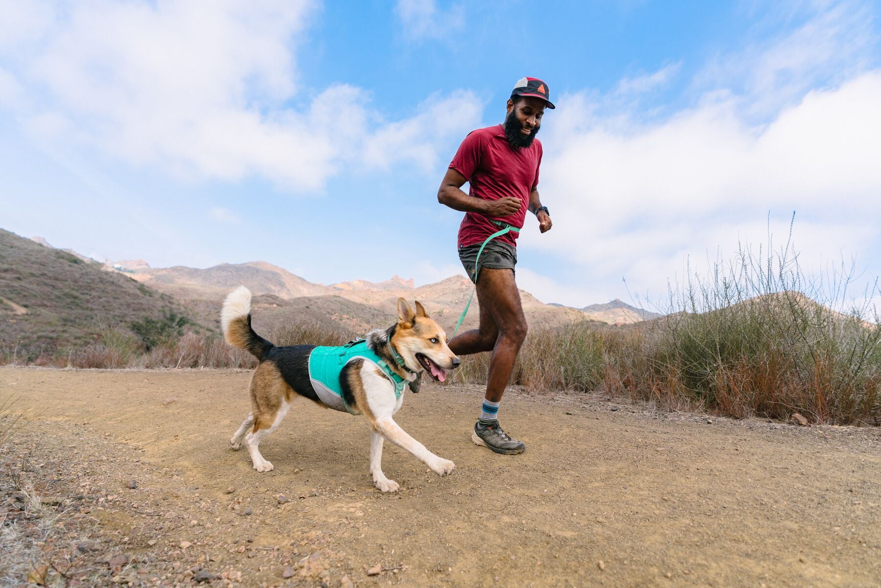 Ruffwear Hi & Light® Ultralight Dog Harness in Phosphorescent Yellow (Lichen Green) - Reflective & Breathable for Hiking, Running & Outdoor Adventures