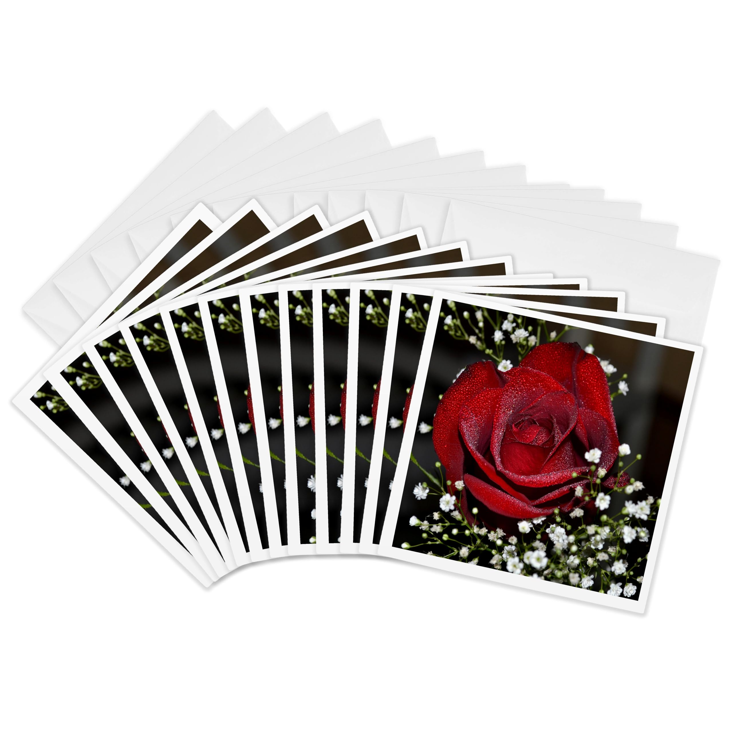 3dRose 009 Red Rose Greeting Cards - Set of 12 (6x6 Inches) | Beautiful Floral Stationery for Birthdays, Anniversaries & Thank You Notes | Perfect for Handwritten Messages & Special Occasions