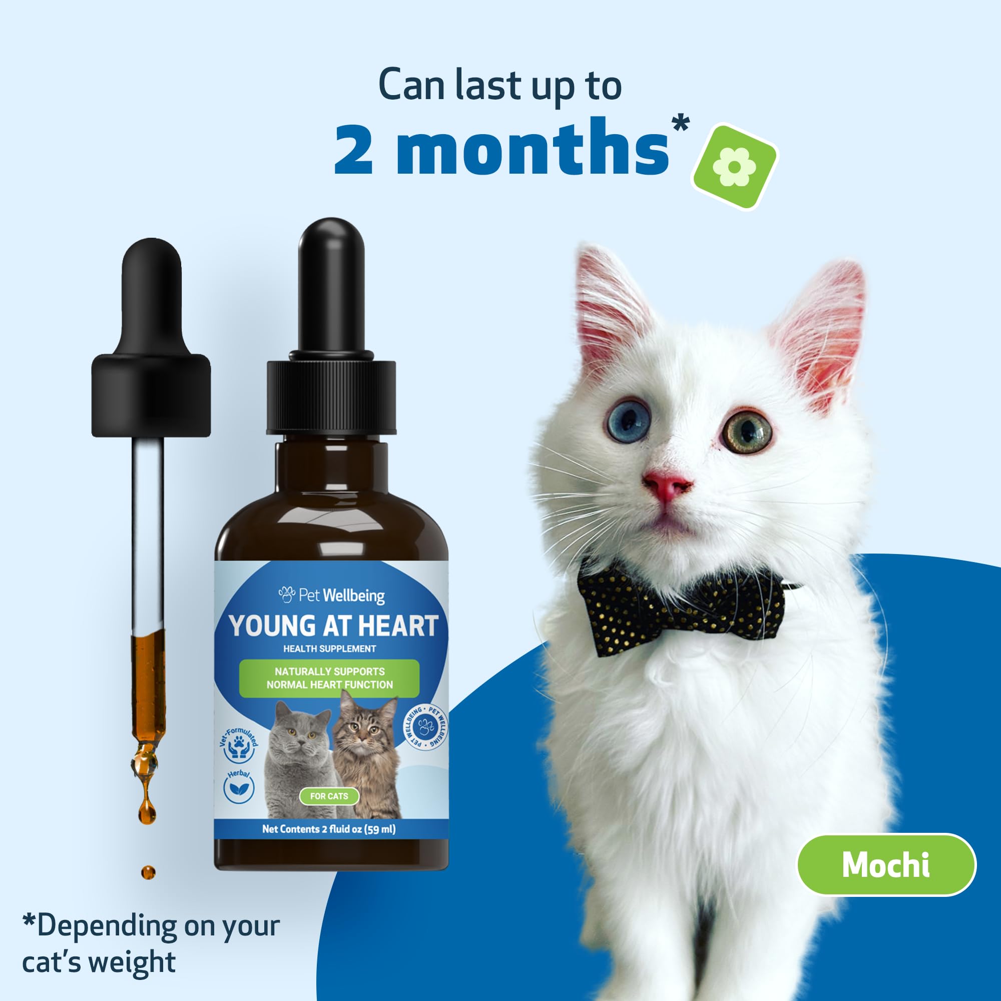 Pet Wellbeing Young at Heart for Cats - Vet-Formulated Herbal Supplement with Hawthorn, Motherwort & Schisandra for Heart Health & Circulation - 2 fl oz (59 ml) - Supports Cardiovascular System for Senior & Adult Cats at Home