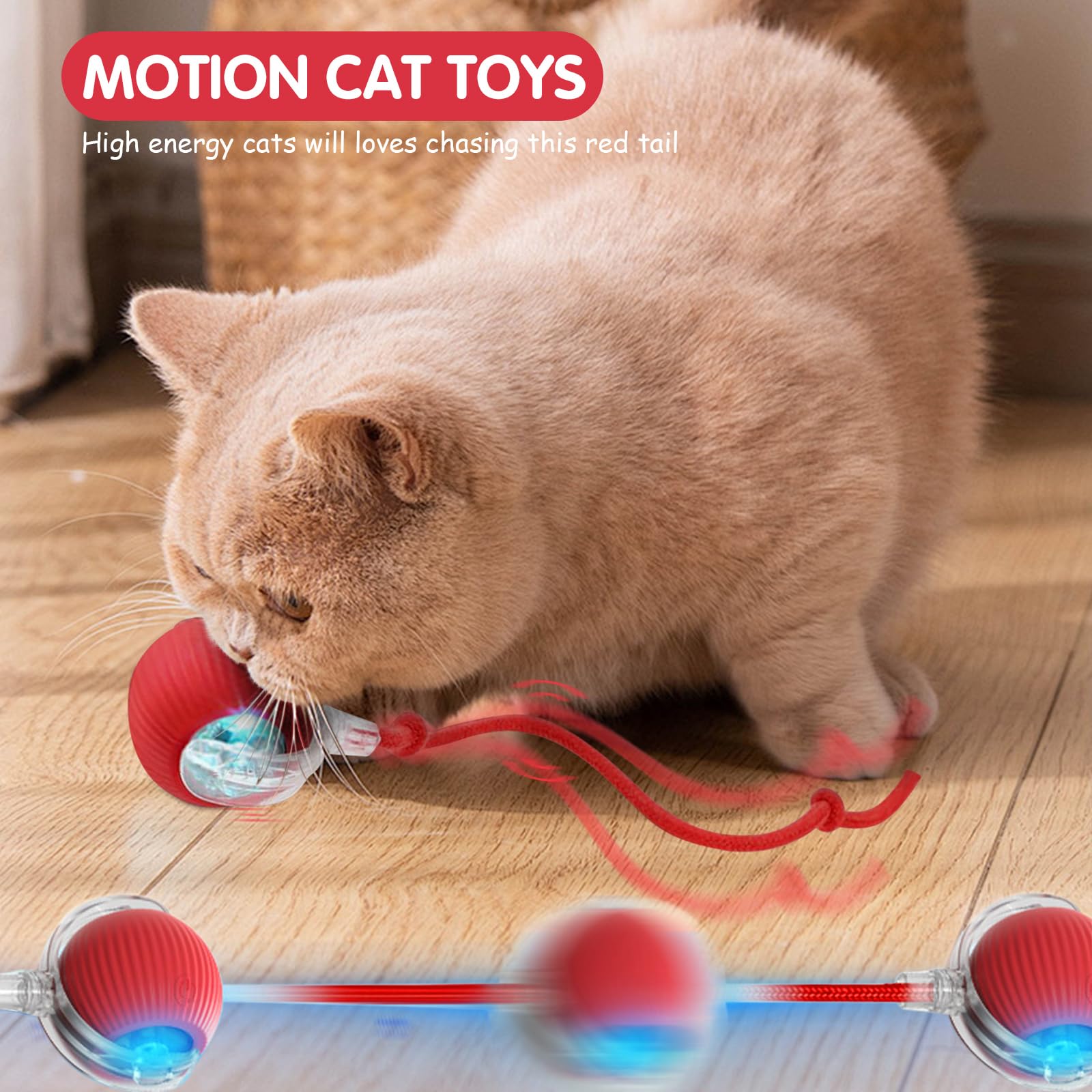 Interactive Cat Toy - Electric Cat Ball & Dog Ball for Bored Indoor Cats - Automatic Rolling Pet Toy with LED Lights - Perfect for Playtime, Exercise & Mental Stimulation for Indoor Cats & Small Dogs