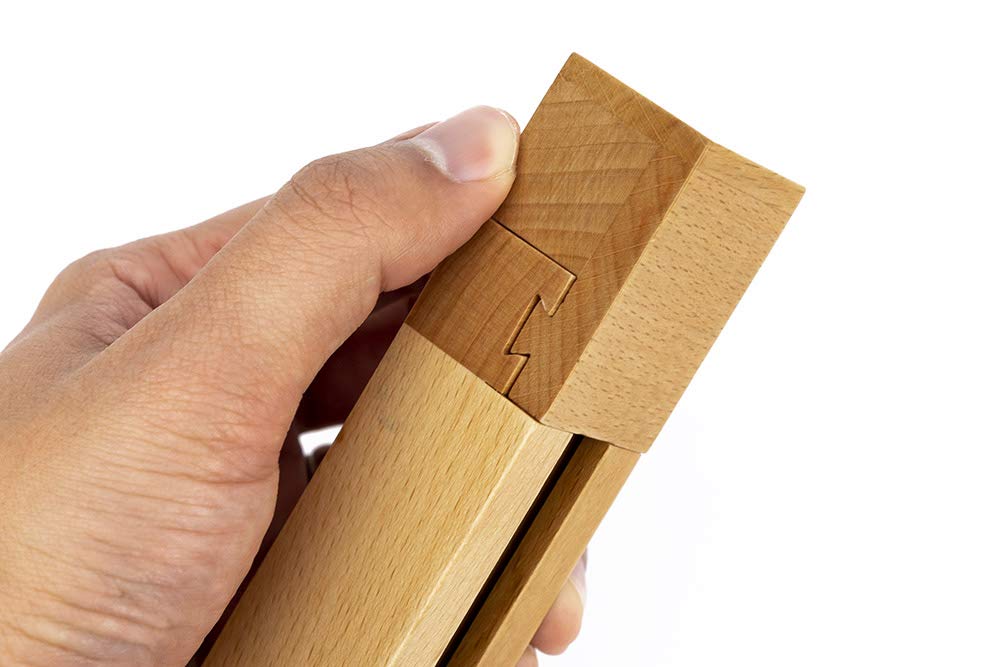 Freudian Slip 3D Wooden Puzzle - Challenging Brain Teaser from Professor Puzzle's Great Minds Collection | Perfect for Family Game Night & Cognitive Skill Development