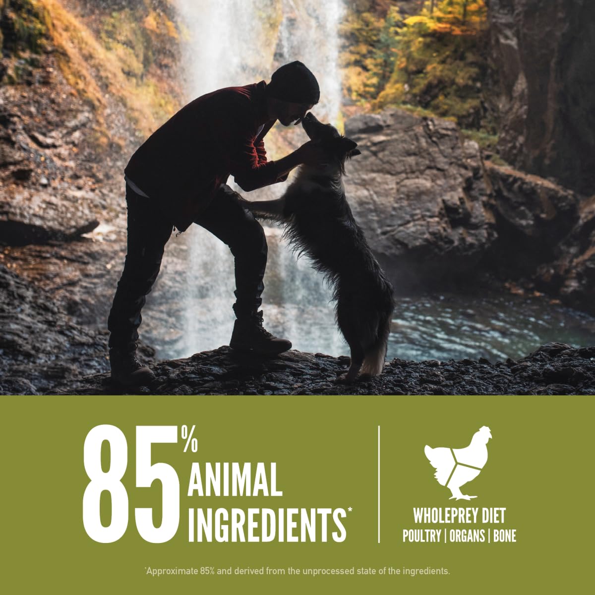 ORIJEN Senior Dry Dog Food - Grain Free, High Protein, Fresh & Raw Ingredients for Senior Dogs - 23.5lb Bag - Perfect for Aging Dogs with Sensitive Stomachs & Joint Support Needs