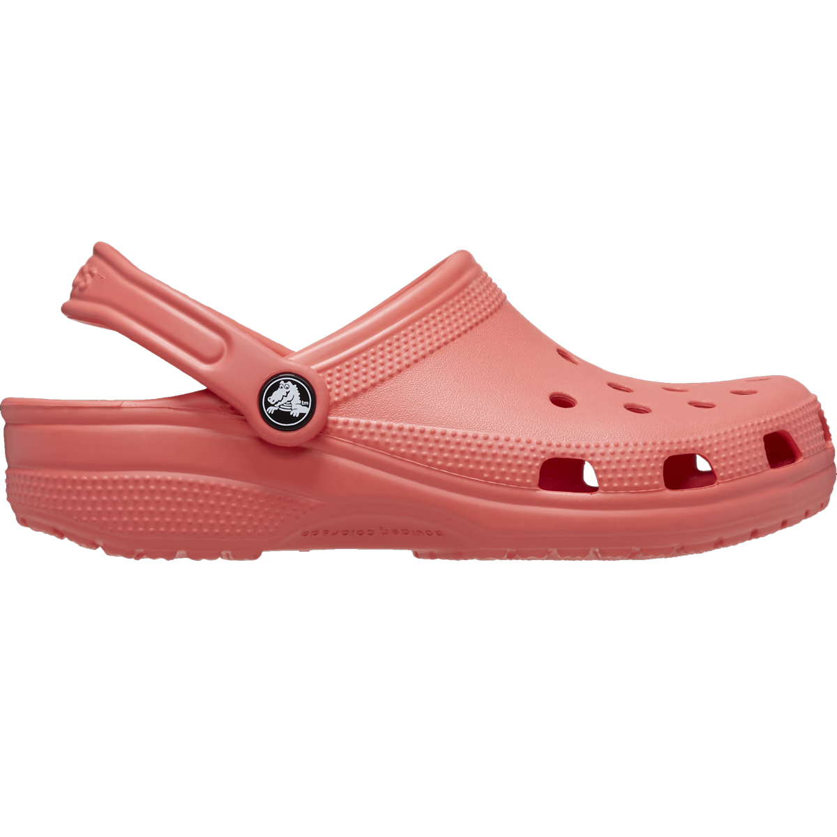 Neon Watermelon