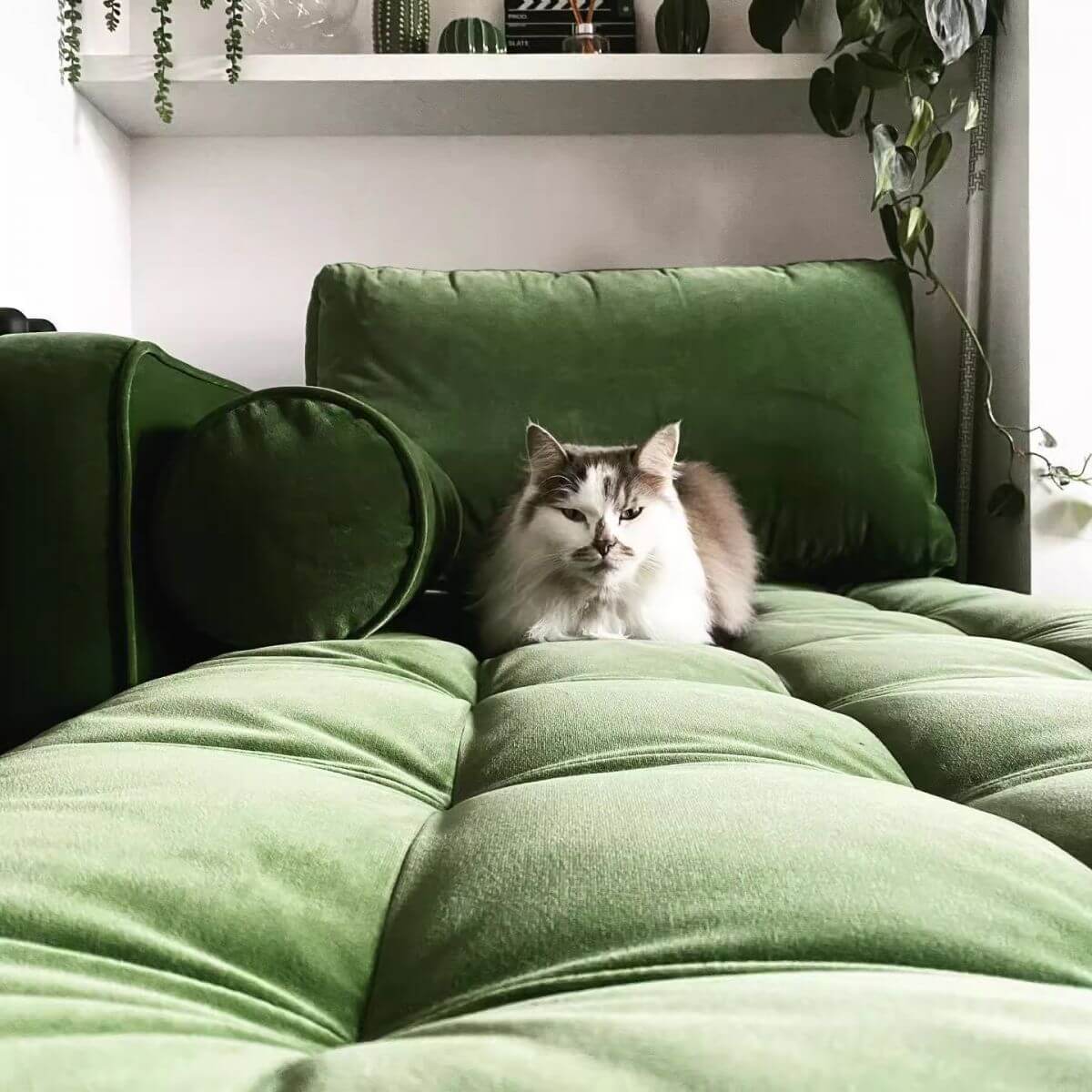 Lime Green Corner Chaise Lounge with 3 Pillows - Detachable Bedroom Sofa for Small Spaces | Perfect for Reading Nook, Guest Room Seating & Apartment Decor