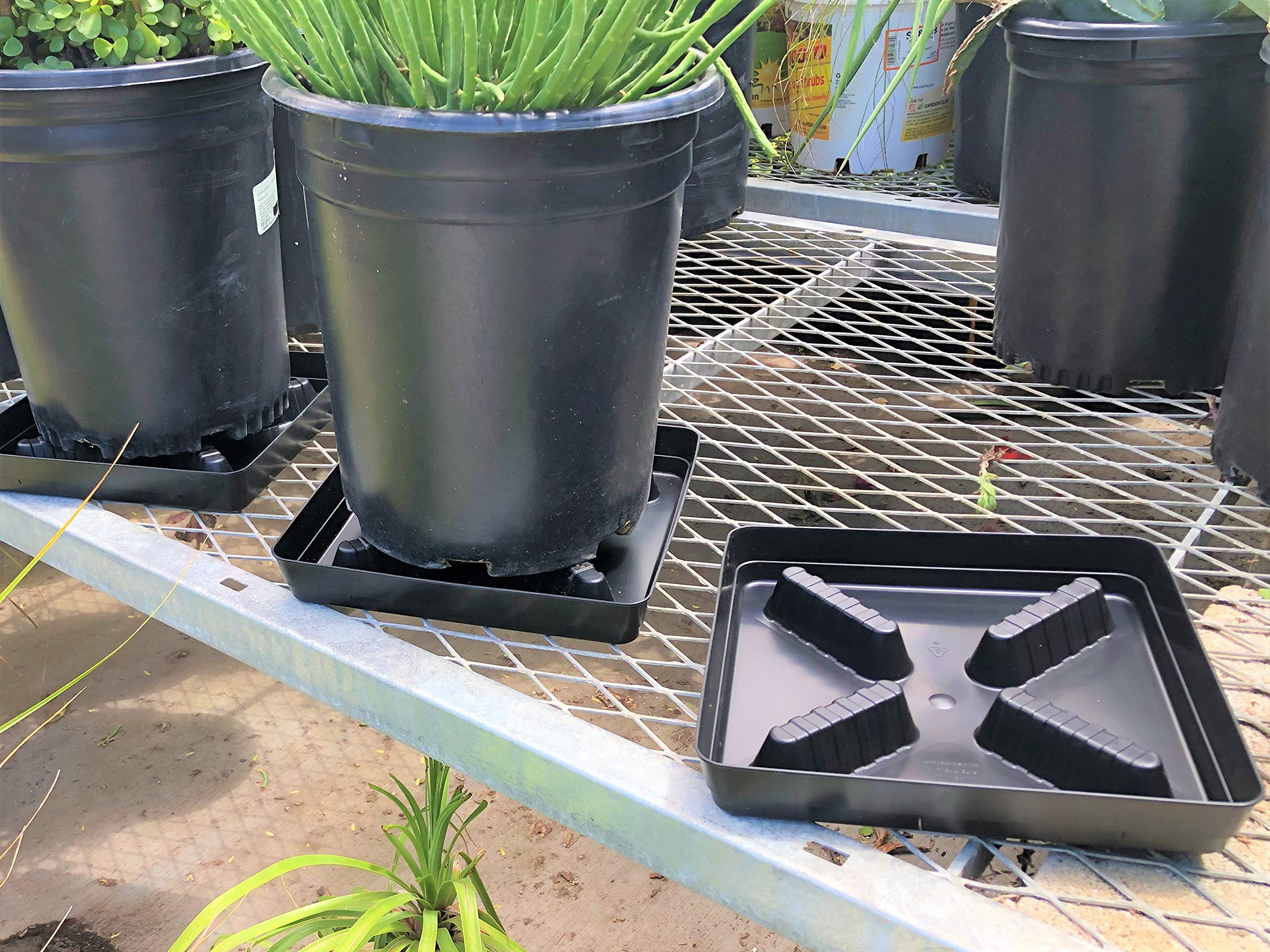 50-Pack 13-Inch Square Plastic Plant Saucers with Riser - Indoor & Outdoor Pot Drain Trays for Potted Plants, Flowers, and Gardening - Durable Water Drip Catcher for Decks, Patios, and Greenhouses