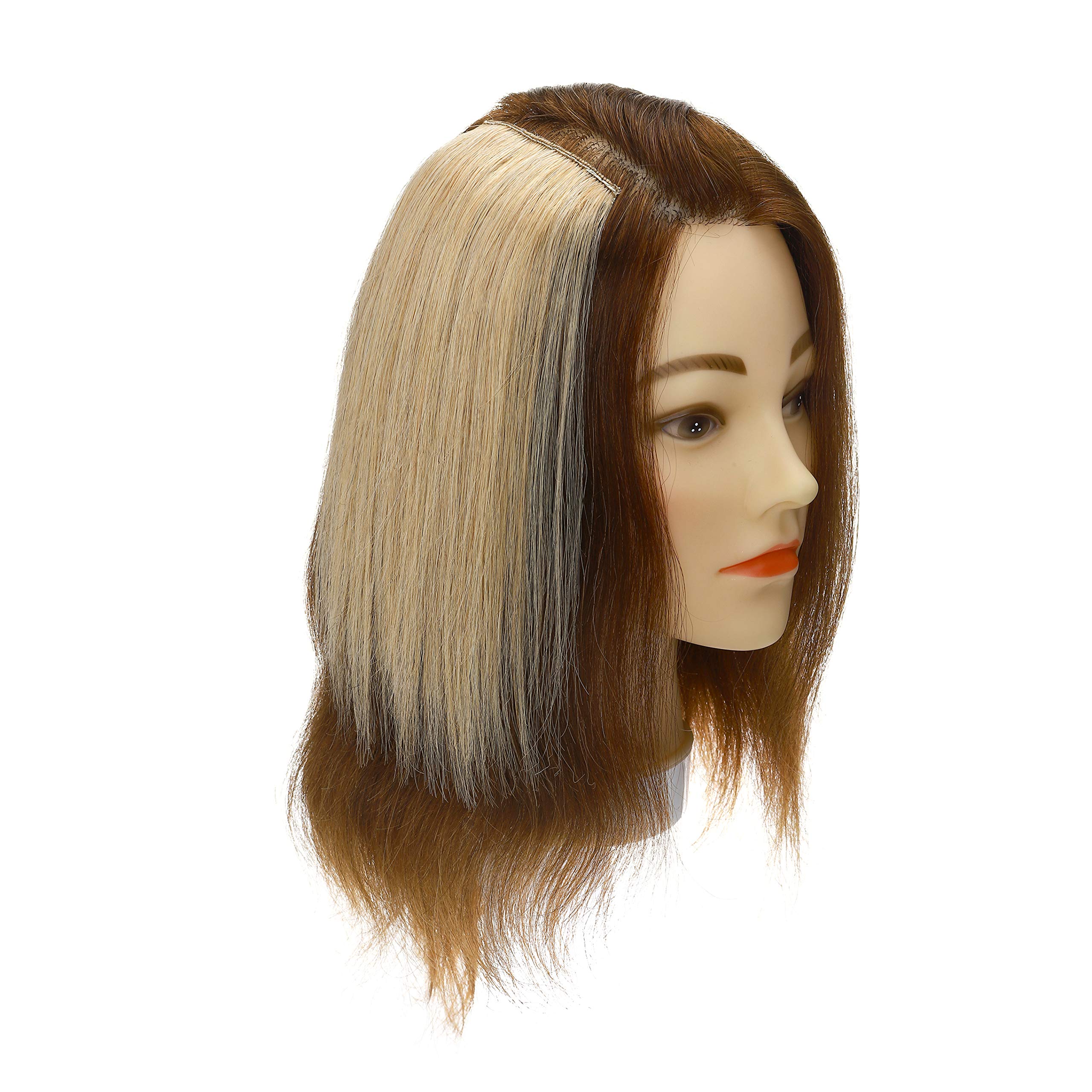 12 Inch #24 Natural Blonde Clip-in Human Hair Extensions for Women | Short Straight Remy Hair Topper | Seamless Hairpieces for Thinning Hair & Baldness | Perfect for Volume Boost & Everyday Styling